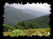 De Pyreneeen