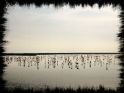 Groeneweg naar de middellandse zee