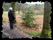 Oosterheide